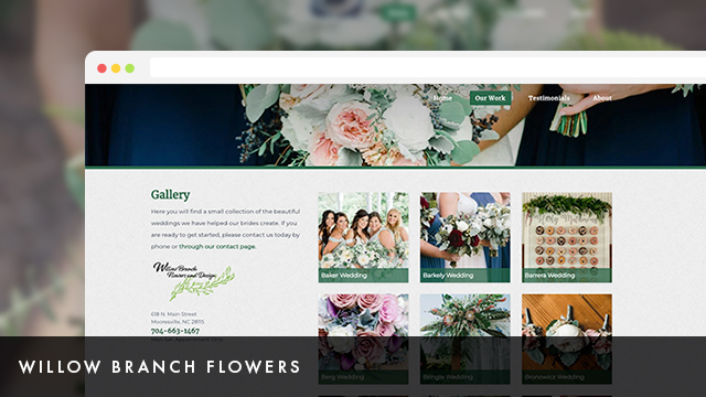 Thumbnail for Willow Brach Flowers